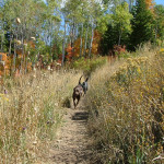 Park City Hiking